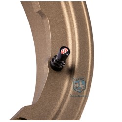 LLANTA ALUMINIO DORADA TUBELESS 10¨ SIP